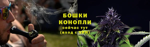 дживик Гусев
