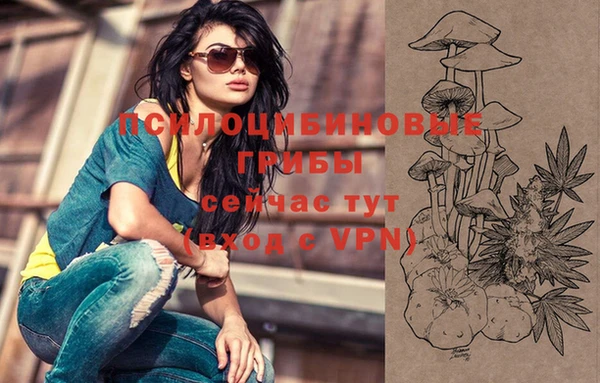 apvp Михайлов
