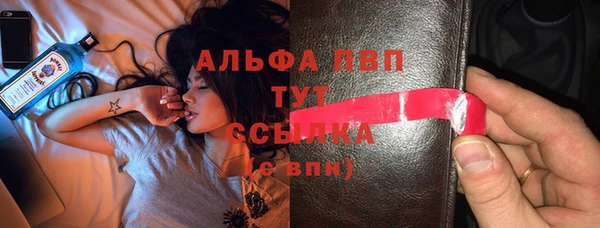 дживик Гусев