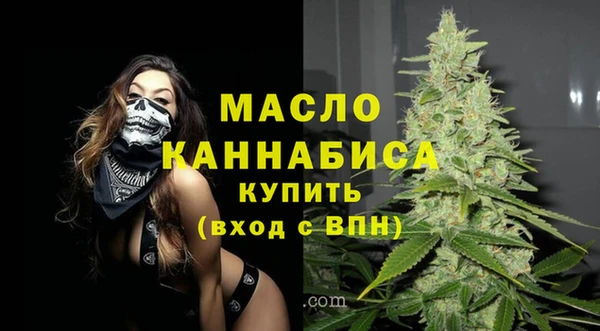 2c-b Горняк