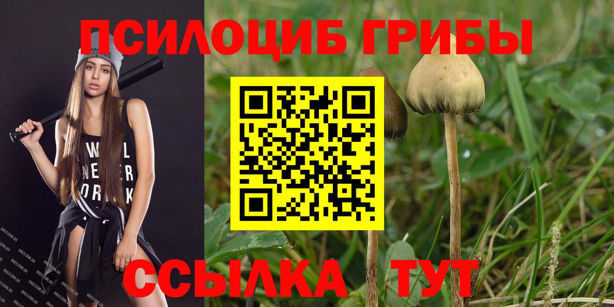 Назарово  Псилоцибиновые грибы мицелий  Вход с VPN 