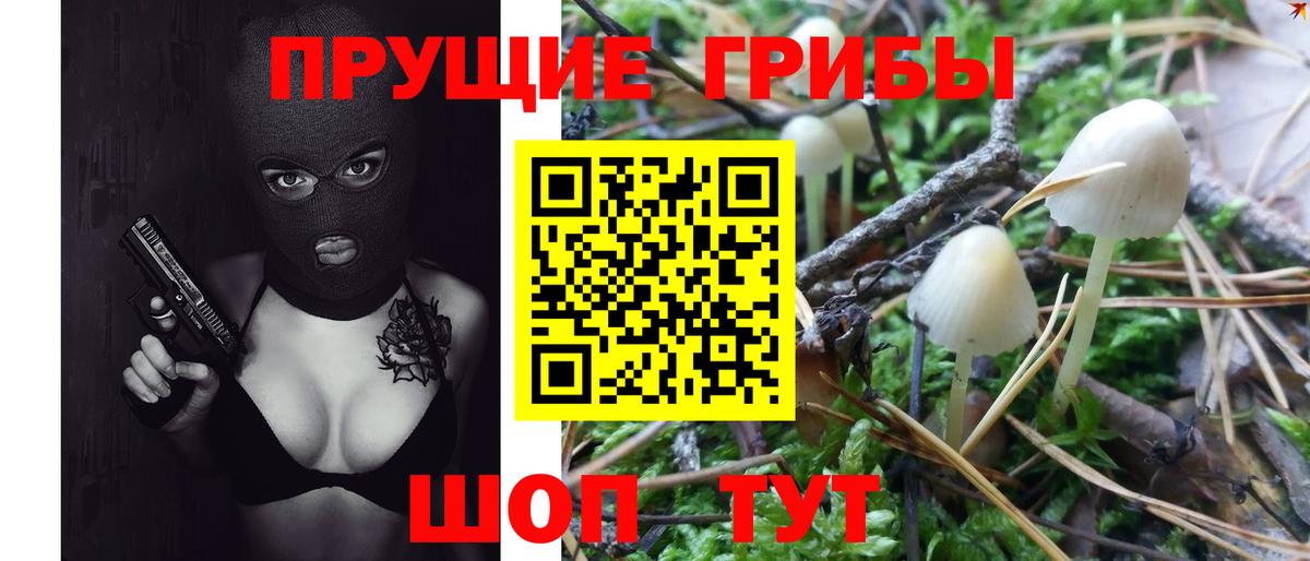 Псилоцибиновые грибы GOLDEN TEACHER  Назарово  где можно купить   Галлюциногенные грибы Cubensis 