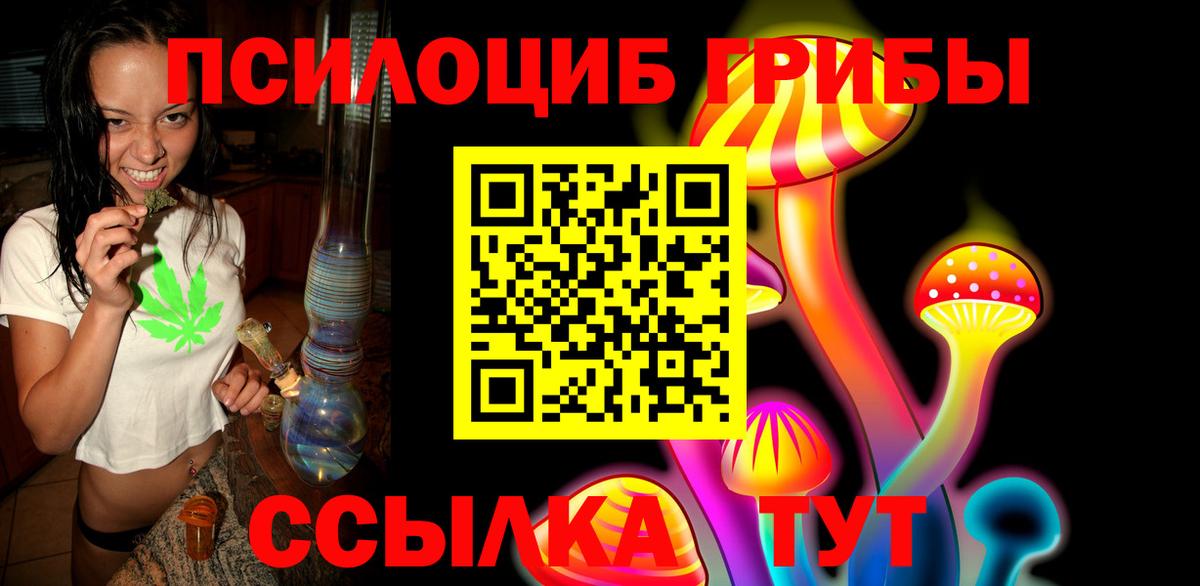 Псилоцибиновые грибы Cubensis Назарово